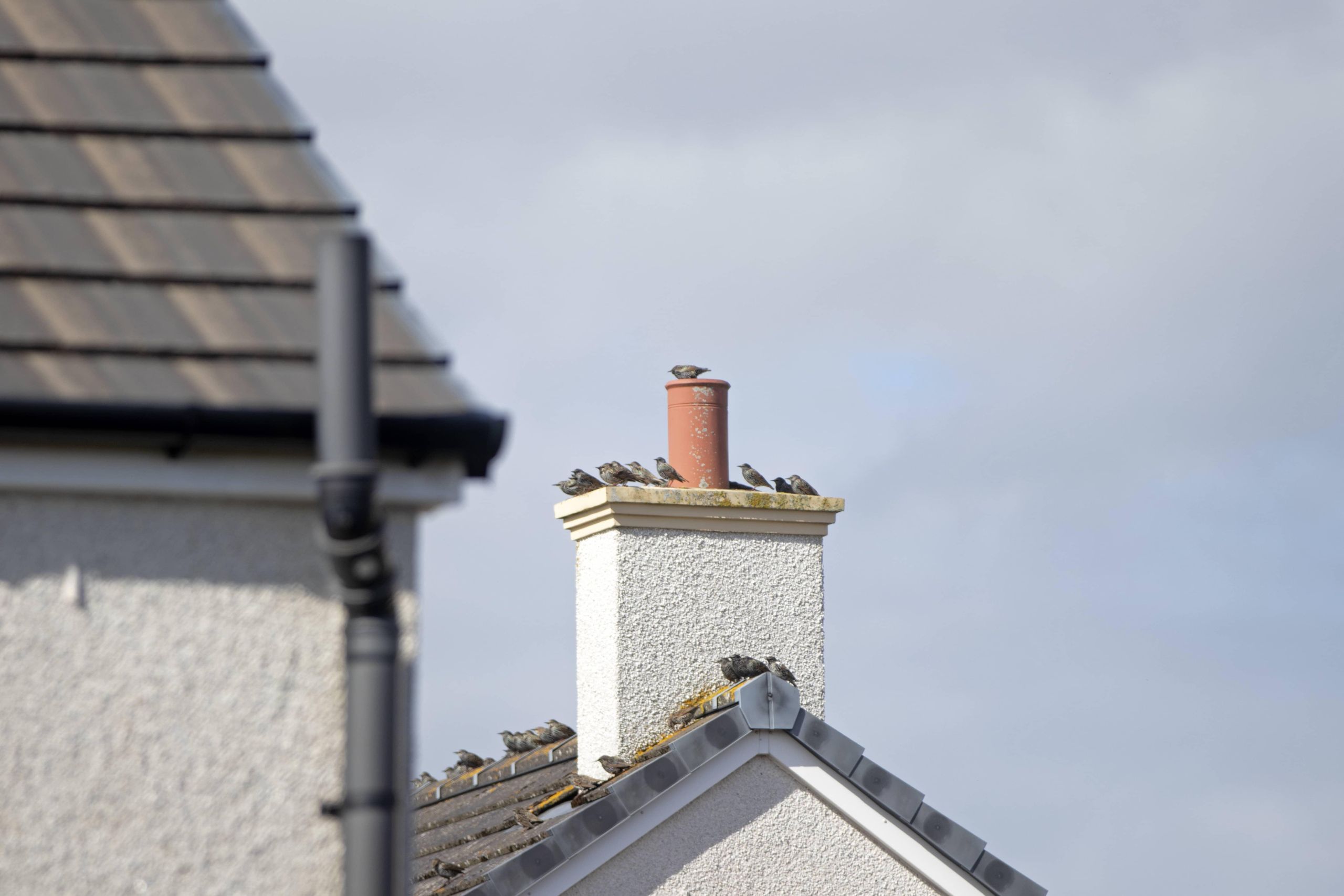 chimney-repair-appalachian image chimney repair appalachian